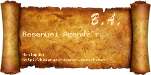 Besenyei Agenór névjegykártya